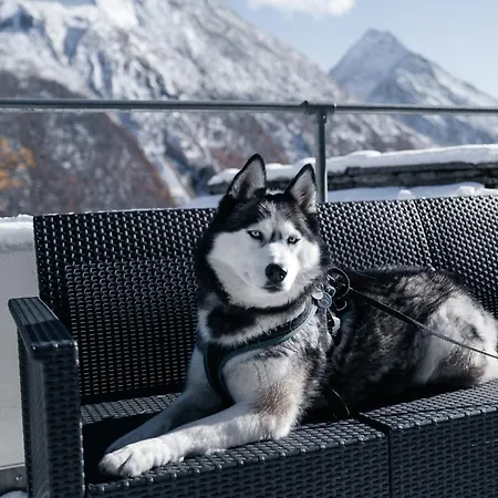 호텔 Waldhotel Fletschhorn Panoramic Retreat In Fee 사스그룬트