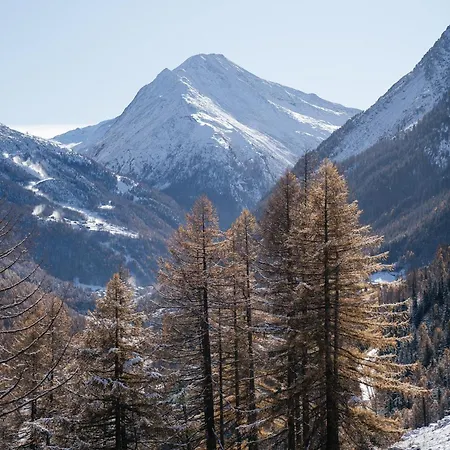 Waldhotel Fletschhorn Panoramic Retreat In Fee ホテル ザース・グルント